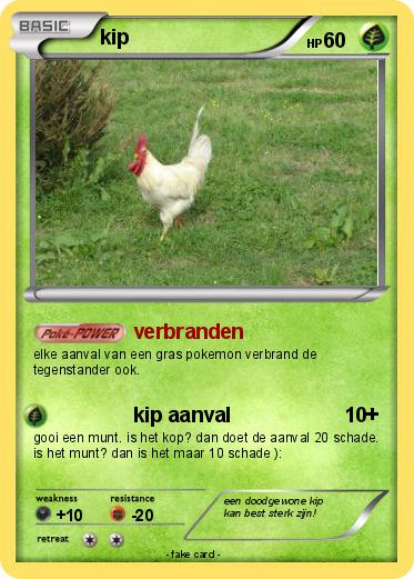 Pokemon kip
