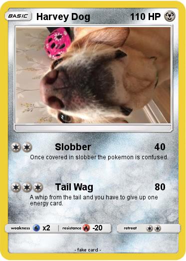 Pokemon Harvey Dog