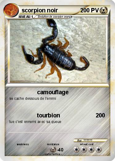 Pokemon scorpion noir