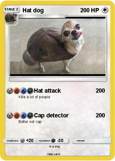 Pokemon Hat dog