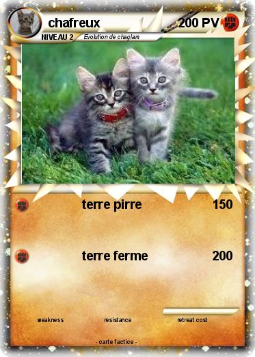 Pokemon chafreux