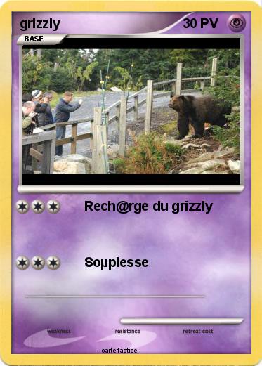 Pokemon grizzly