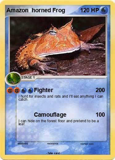 Pokemon Amazon  horned Frog