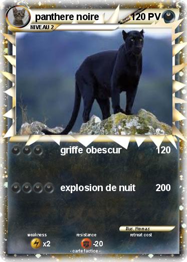 Pokemon panthere noire