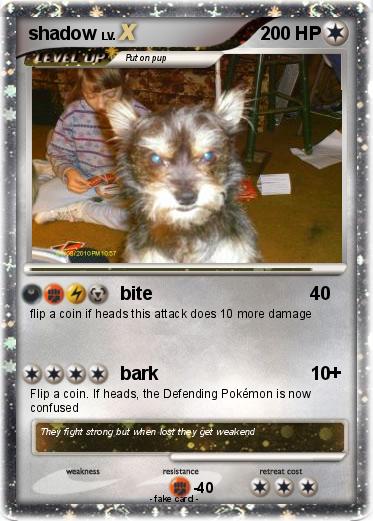 Pokemon shadow