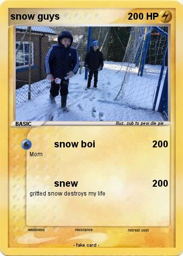 Pokemon snow guys
