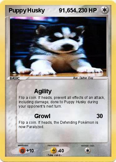 Pokemon Puppy Husky         91,654,2