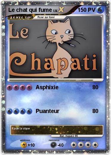Pokemon Le chat qui fume
