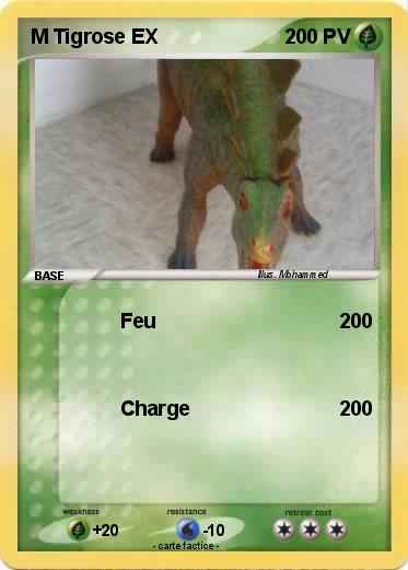 Pokemon M Tigrose EX