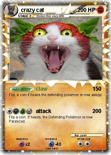 Pokemon crazy cat