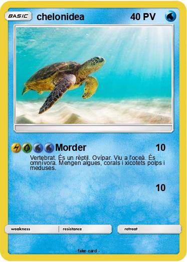 Pokemon chelonidea
