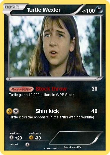 Pokemon Turtle Wexler