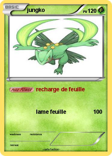 Pokemon jungko