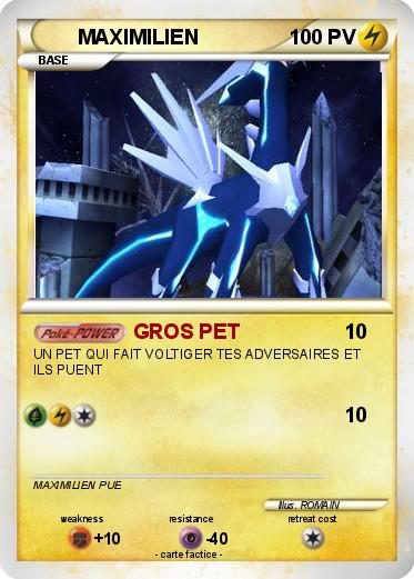 Pokemon MAXIMILIEN