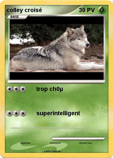 Pokemon colley croisé