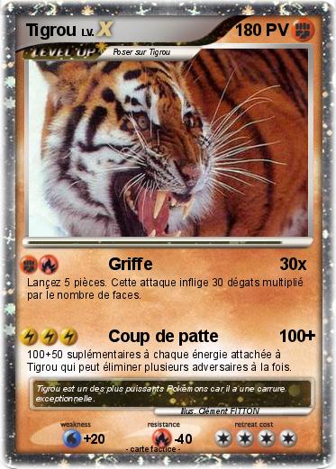 Pokemon Tigrou