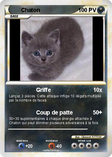 Pokemon Chaton