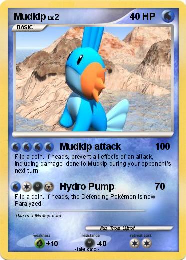 Pokemon Mudkip