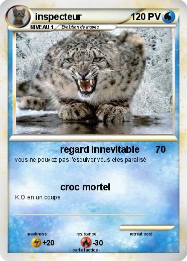 Pokemon inspecteur