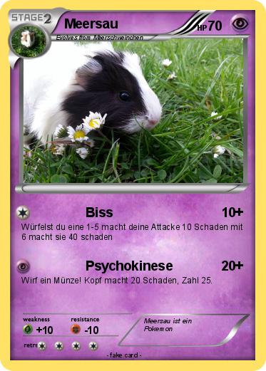 Pokemon Meersau