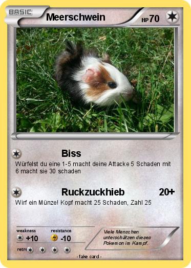 Pokemon Meerschwein