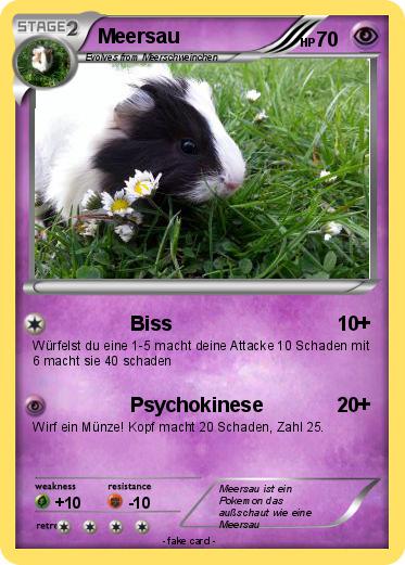 Pokemon Meersau