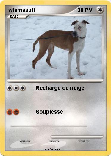 Pokemon whimastiff