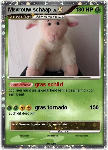 Pokemon Mevrouw schaap