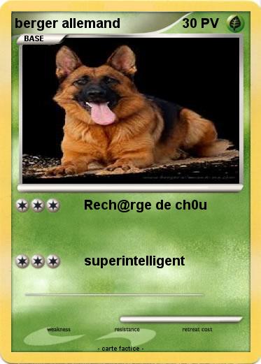 Pokemon berger allemand