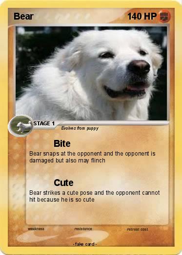 Pokemon Bear