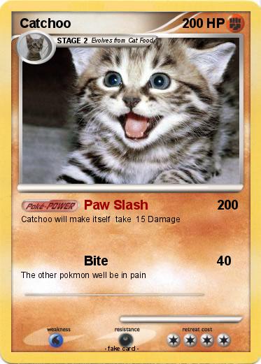 Pokemon Catchoo