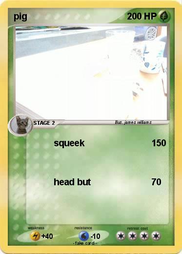 Pokemon pig