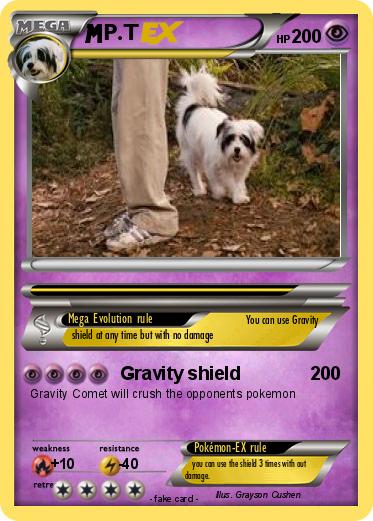 Pokemon P.T