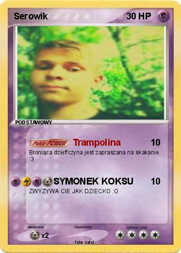 Pokemon Serowik