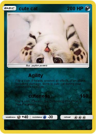 Pokemon cute cat