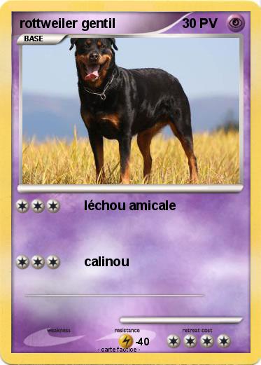 Pokemon rottweiler gentil