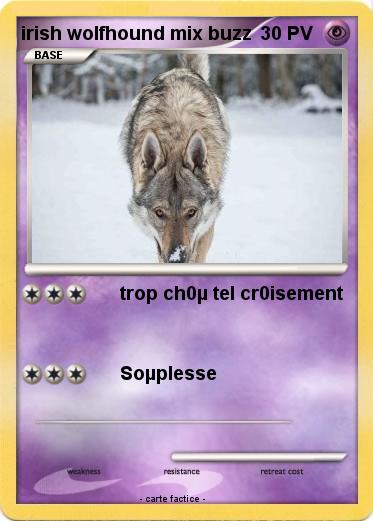 Pokemon irish wolfhound mix buzz