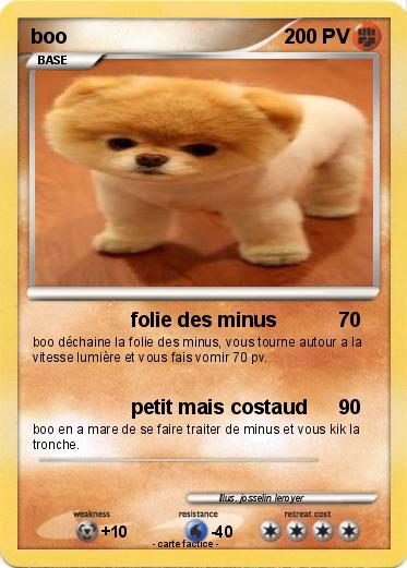 Pokemon boo