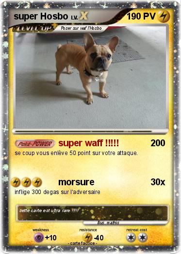 Pokemon super Hosbo
