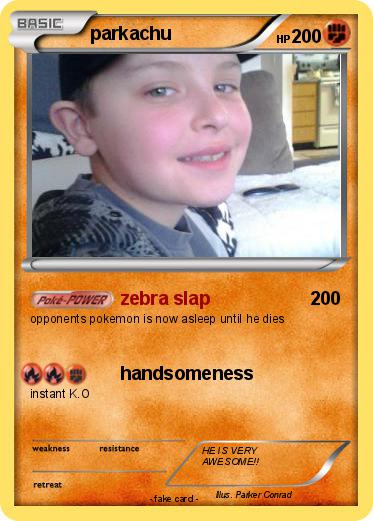 Pokemon parkachu