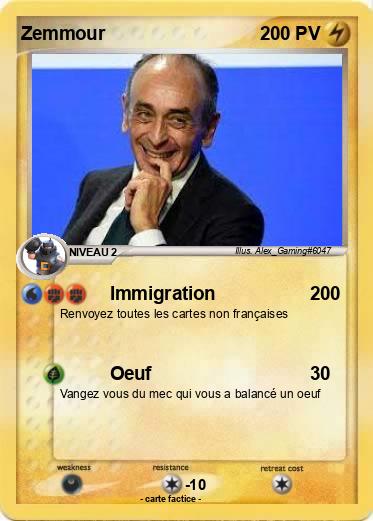 Pokemon Zemmour