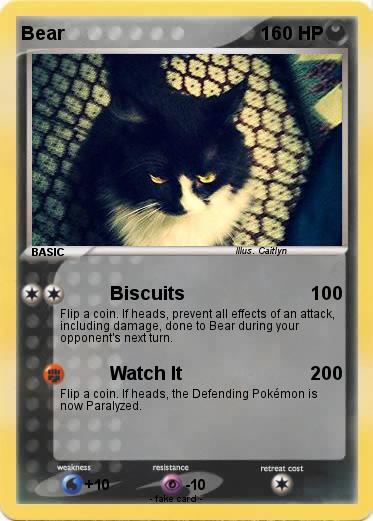 Pokemon Bear