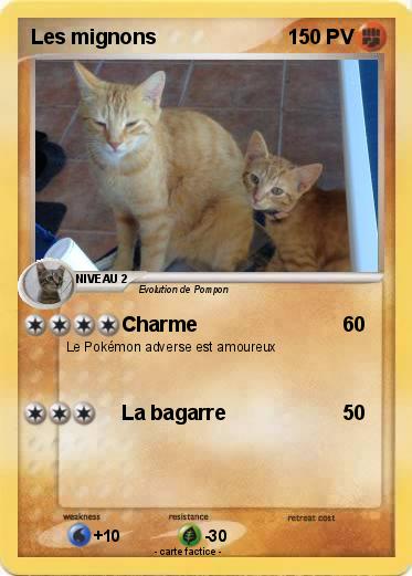 Pokemon Les mignons