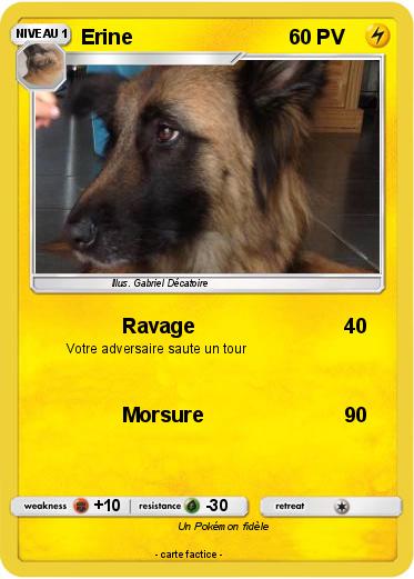 Pokemon Erine