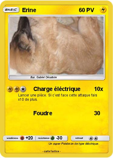 Pokemon Erine
