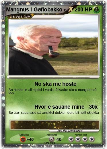 Pokemon Mangnus i Gøflobakko