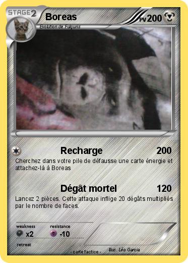 Pokemon Boreas