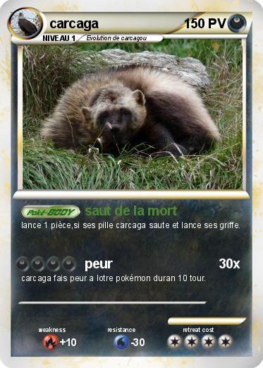 Pokemon carcaga