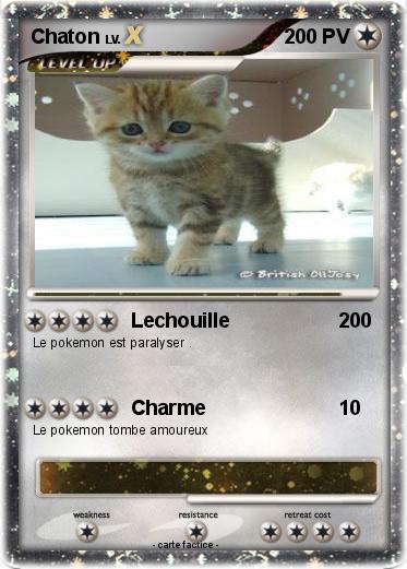 Pokemon Chaton