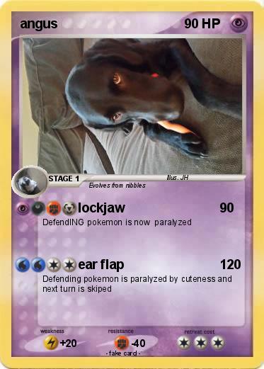 Pokemon angus